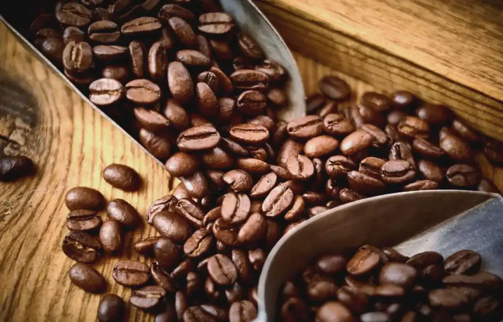 How to Improve Coffee Quality for Export Market: Key Steps for Processors