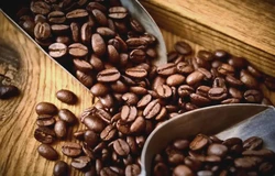 Coffee Defect Removal System for Quality Stabilization