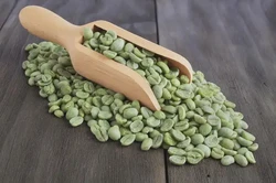 Green Coffee Bean Sorting Solution for Export Quality Improvement