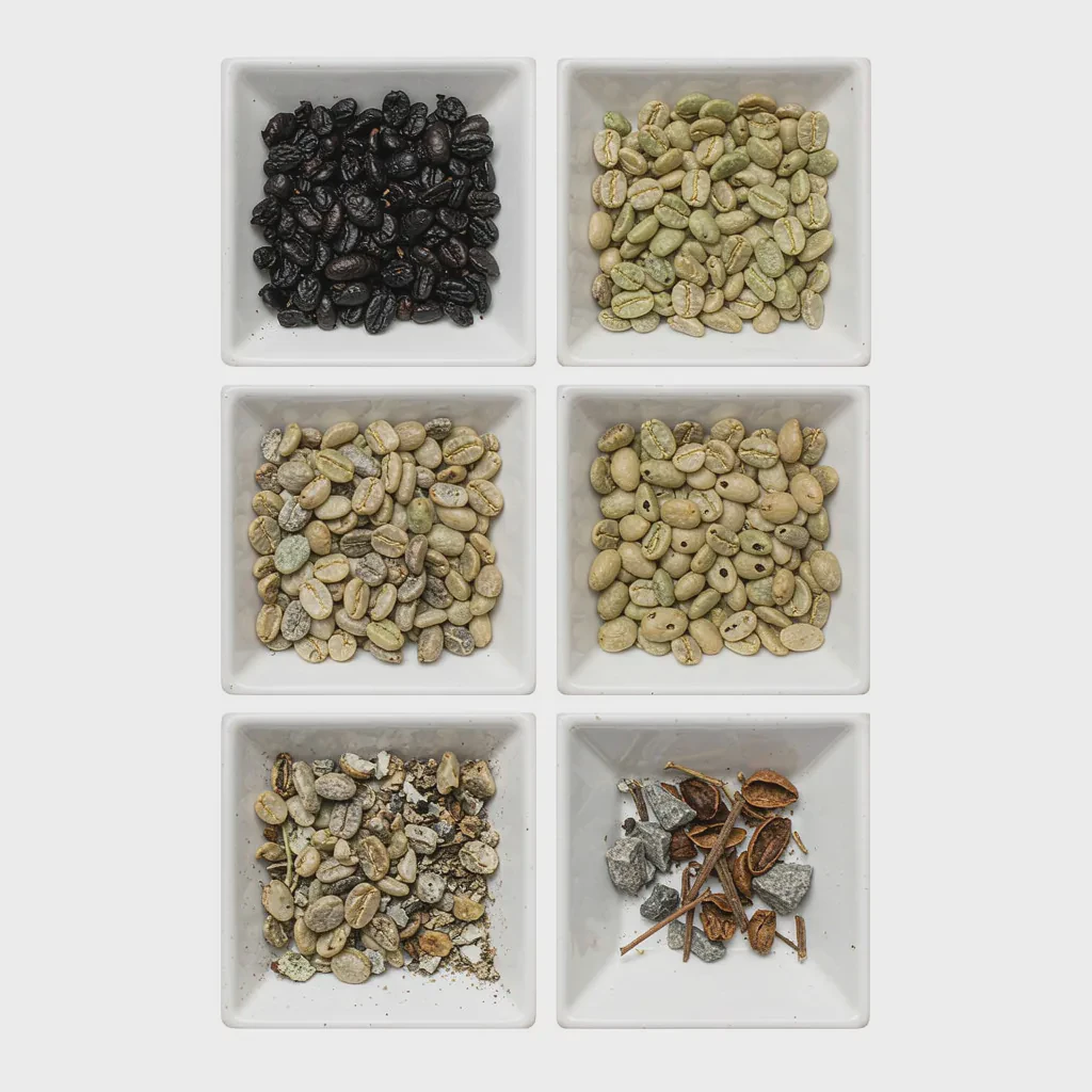 Common coffee bean defects removed by color sorting: black, sour, moldy, insect-damaged, foreign matter